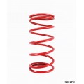 RS 100 Performance Torque Spring